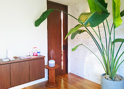 アムール行政書士事務所｜秩父市の遺言・相続・成年後見・ビザ（在留資格）、外国人雇用のご相談ならお任せください！