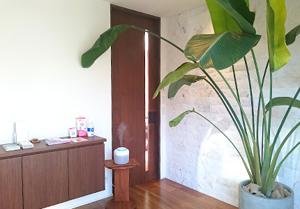 入口｜遺言・相続・成年後見・ビザ（在留資格）、外国人雇用のご相談はアムール行政書士事務所